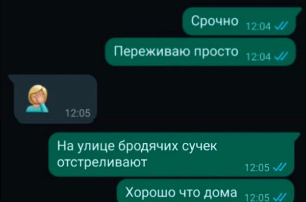 �-������. ��� ��� ������� ������ �� ���������. �������������� - 2