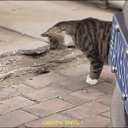 ���� ������, �����-���������, 62 ���� - ��������� 28 ���� 2022 � ������ ���� ����������