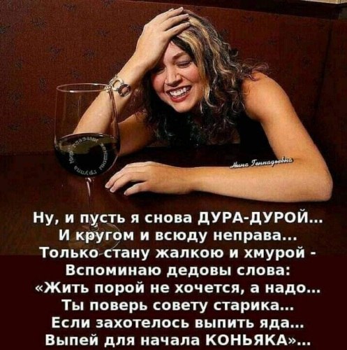   ! - 11  2022  00:51