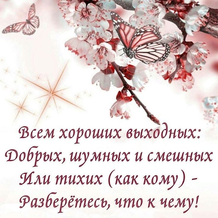   - 28  2023  08:51