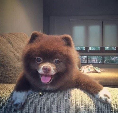  .   )))