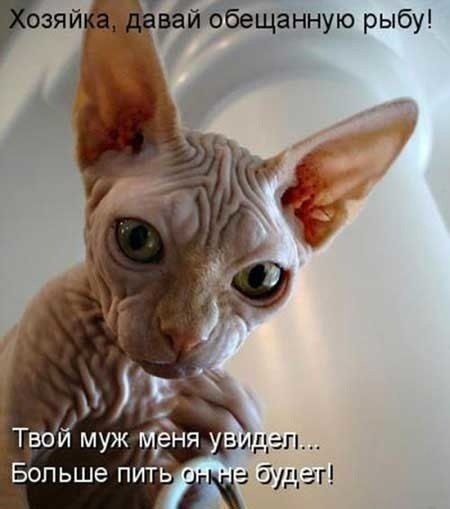    - 11  2022  23:36