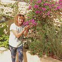 ���� �����, ������, 56 ��� - ��������� 30 ���� 2022 � ������ ���� ����������