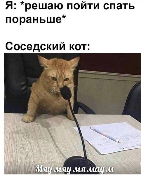    - 27  2022  02:36