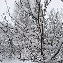  Elena  !,  -  12  2022    
