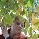 ���� ��������, ������-��-����, 64 ���� - ��������� 6 ������ 2022 � ������ ���� ����������