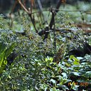 ���� Konstantin, ���������, 57 ��� - ��������� 29 ���� 2022 � ������ ���� ����������