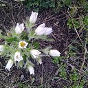 ���� �����, ������, 56 ��� - ��������� 23 ������� 2022 � ������ ���� ����������