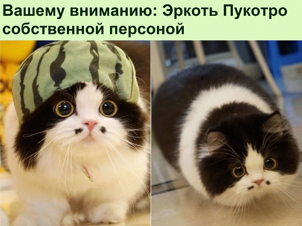  :D - 5  2022  16:22