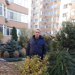 ��������, ���������, 68 ���