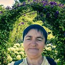 ���� ������, �������, 66 ��� - ��������� 6 ���� 2022 � ������ ���� ����������