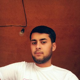 , 29, 