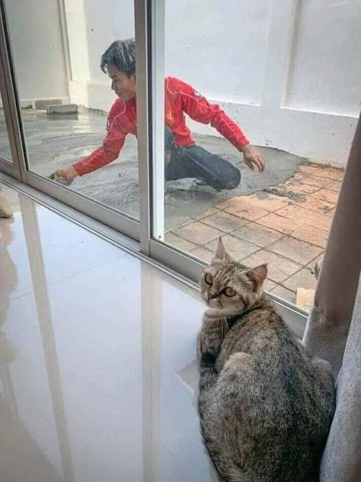   )