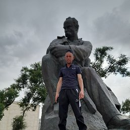 , , 44 