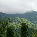 ���� �������, ���������, 65 ��� - ��������� 3 ������ 2023 � ������ ���� ����������