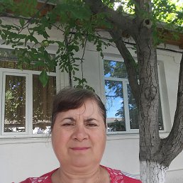  Zina, , 58  -  22  2022