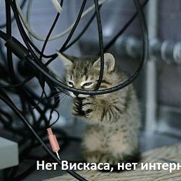 ����, �����, 37 ���