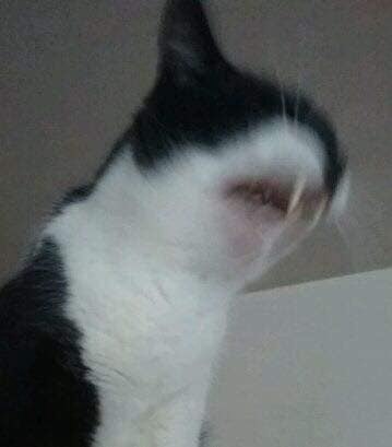     )