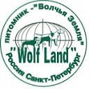 ���� ����, �����-��������� - ��������� 13 ������ 2022 � ������ ������ ��������