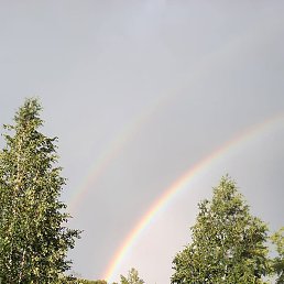 ����, �����-���������, 61 ���