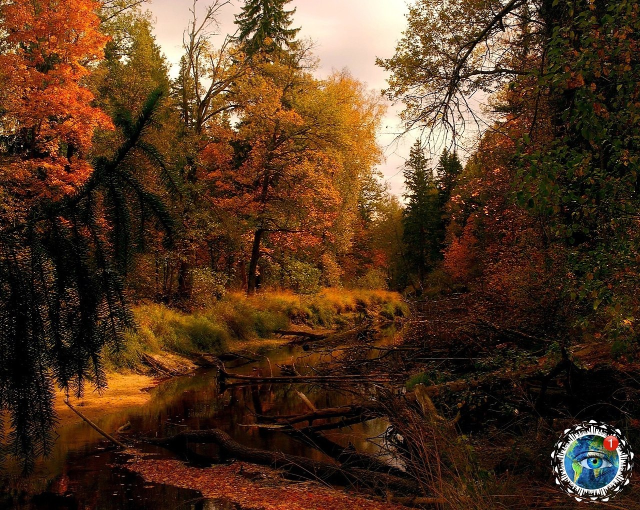 eopoca https://fotostrana.ru/away?to=/sl/iYO2pace coo  