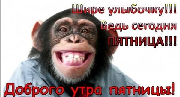 ***Victoria Viktorovna*** - 6  2023  07:04