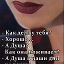 ���� ���������, �������, 48 ��� - ��������� 11 ������� 2023 � ������ ������ ��������
