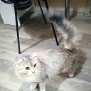 ���� �������, �������, 37 ��� - ��������� 9 ������� 2023 � ������ ���� ����������