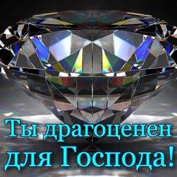 ���� ���������, ����, 72 ���� - ��������� 23 ���� 2022