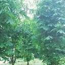 ���� �����, �����-���������, 34 ���� - ��������� 28 ���� 2022