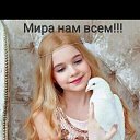  , , 58  -  11  2022