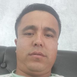 ����� ���, �����, 33 ����