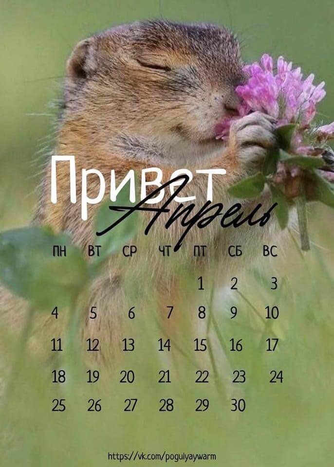    !     !