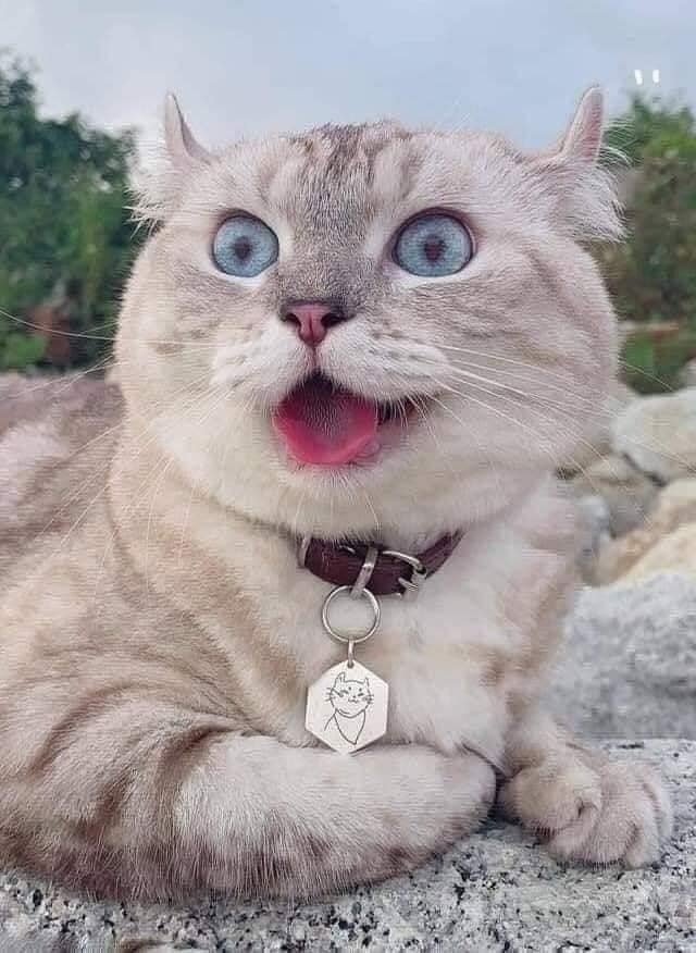        - 2