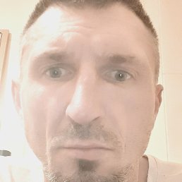 ������, ��������, 41 ���