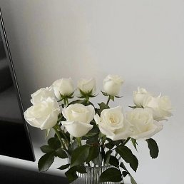 ���� ��������, ������, 51 ��� - ��������� 6 ������� 2023