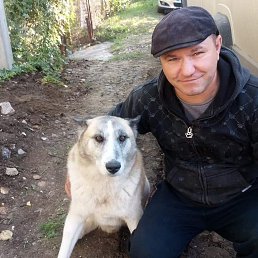  Sergiu, , 57  -  12  2022