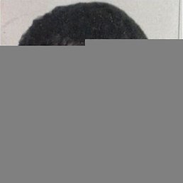 Bob, ������, 50 ���