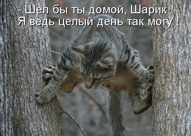��� �������� �������� - 27 �������� 2022 � 08:36
