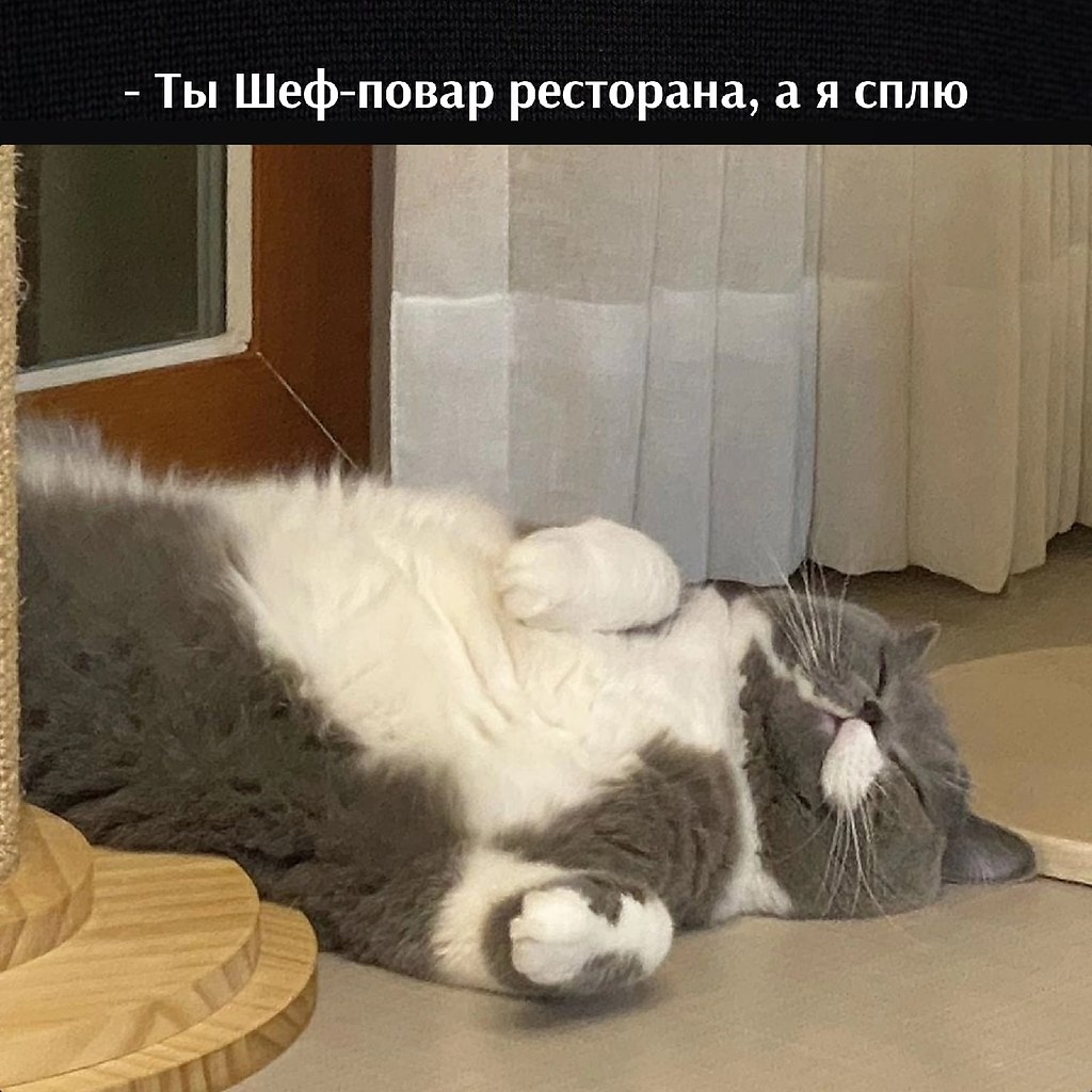       - 16  2022  20:36 - 3