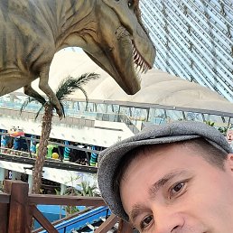 , 40 , 