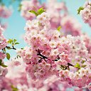 ���� �������, ���������, 47 ��� - ��������� 26 ������ 2022