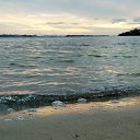 ����������� ����� �� ������� ���� ����������