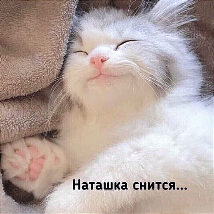  - 1  2022  22:52