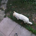 ���� �����, ����������� - ��������� 29 ��� 2022 � ������ ���� ����������