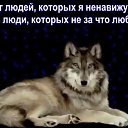 ���� Misha,*, �����-���������, 31 ��� - ��������� 24 ������� 2022