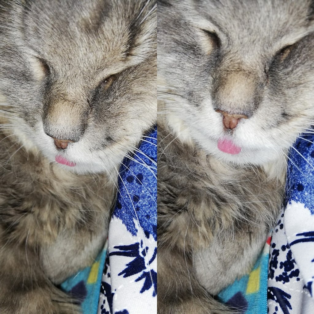  !)