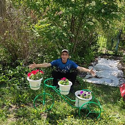 ������, ������, 52 ����