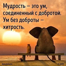  ,  -  8  2022