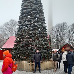 �������, ������, 39 ���